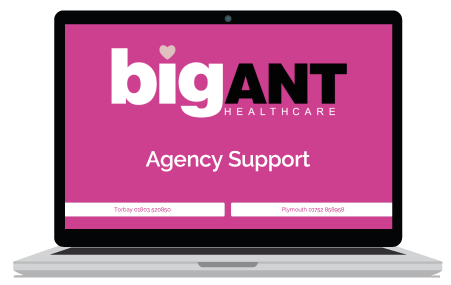 Torquay & Paignton Website Designers